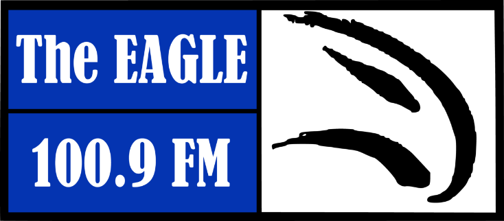 eagle100
